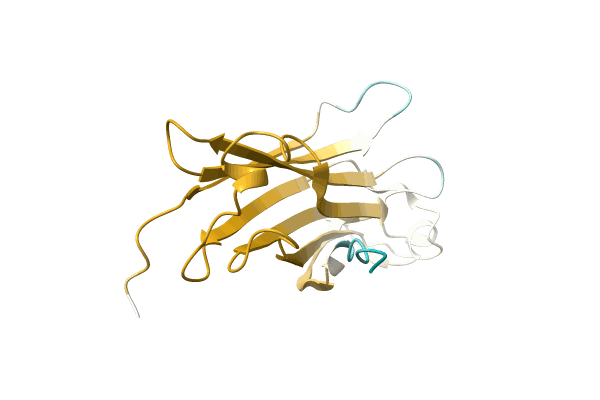 AF-A0A1G4Y6K5-F1 image