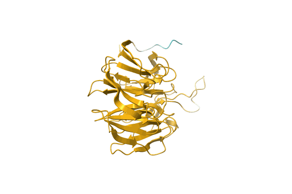 AF-A0A1G5CV09-F1 image