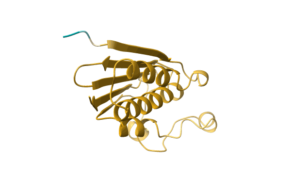 AF-A0A1G5DP72-F1 image