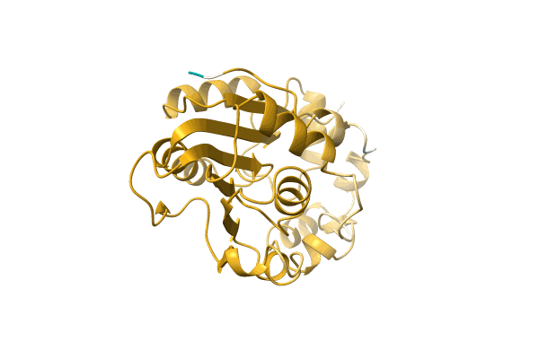 AF-A0A1G8E5T0-F1 image