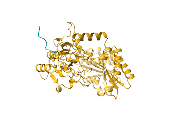 AF-A0A1G8E6M4-F1 image