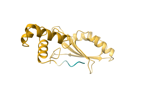 AF-A0A1G8GPR1-F1 image