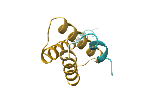 AF-A0A1G8IM21-F1 image