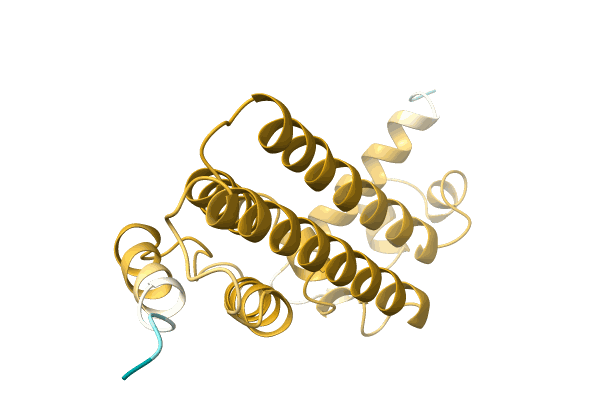 AF-A0A1G8IM75-F1 image