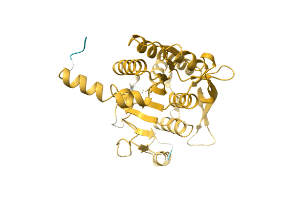 AF-A0A1G8IMK2-F1 image