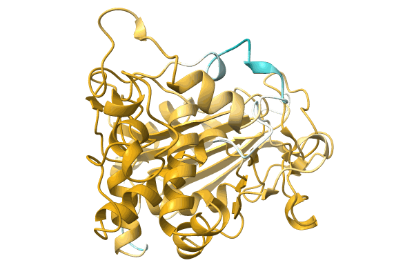 AF-A0A1G8IMQ1-F1 image