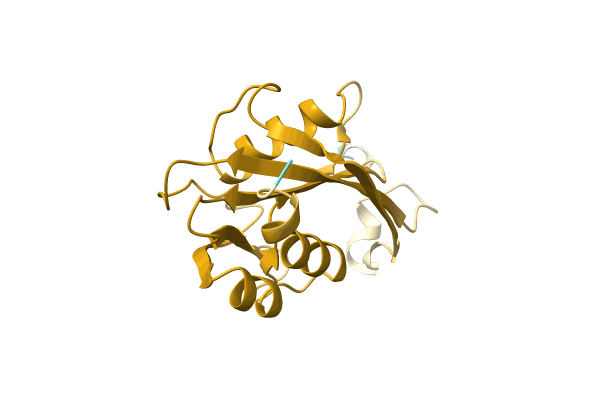 AF-A0A1G8IMR8-F1 image