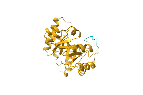 AF-A0A1G8IND1-F1 image