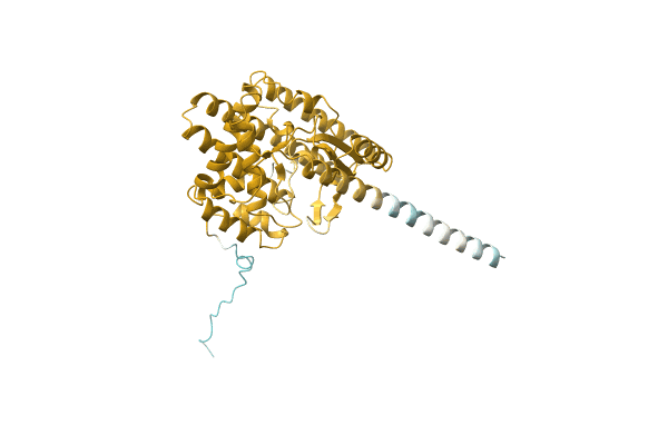 AF-A0A1G8IP64-F1 image