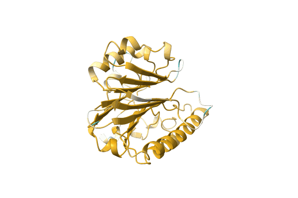 AF-A0A1G9BWU5-F1 image