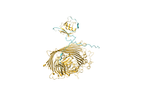 AF-A0A1G9BWV0-F1 image