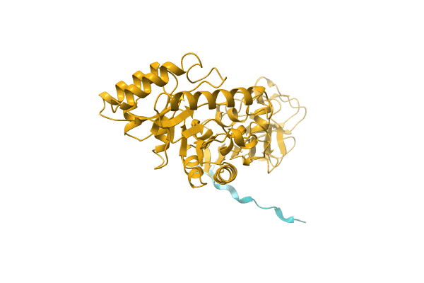 AF-A0A1G9CV21-F1 image