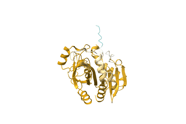 AF-A0A1G9CX41-F1 image