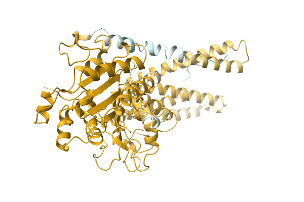 AF-A0A1G9CXB6-F1 image