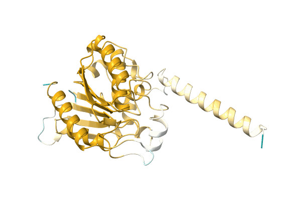 AF-A0A1G9CXE6-F1 image