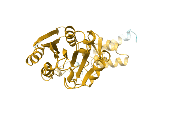 AF-A0A1G9CZ54-F1 image