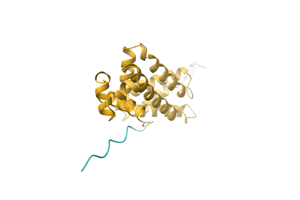 AF-A0A1G9D070-F1 image