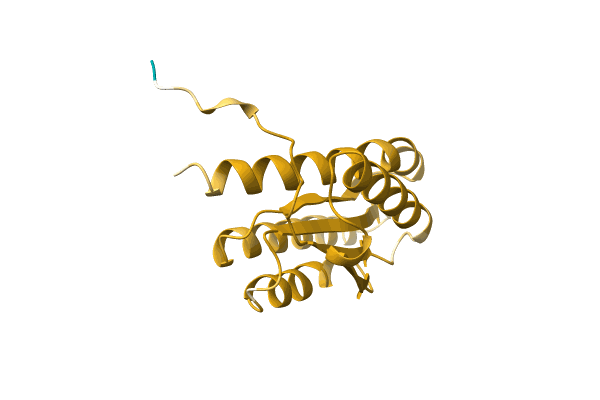 AF-A0A1G9D2Z7-F1 image