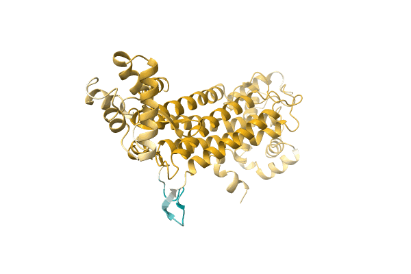 AF-A0A1G9JQK4-F1 image