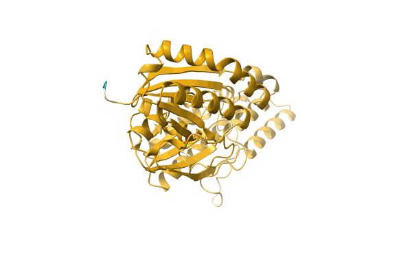 AF-A0A1G9LPQ2-F1 image