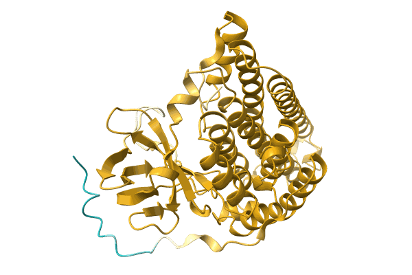 AF-A0A1H2CY18-F1 image