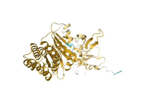 AF-A0A1H2D0Q1-F1 image