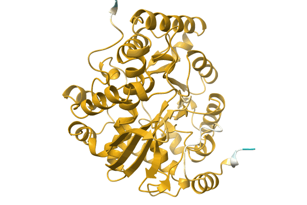 AF-A0A1H2D101-F1 image