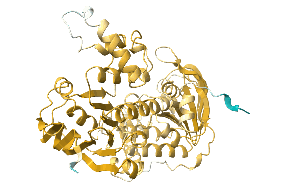 AF-A0A1H2E0X4-F1 image