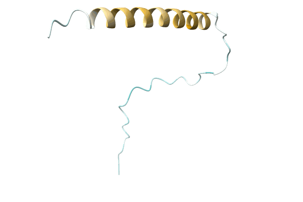 AF-A0A1H2ER26-F1 image