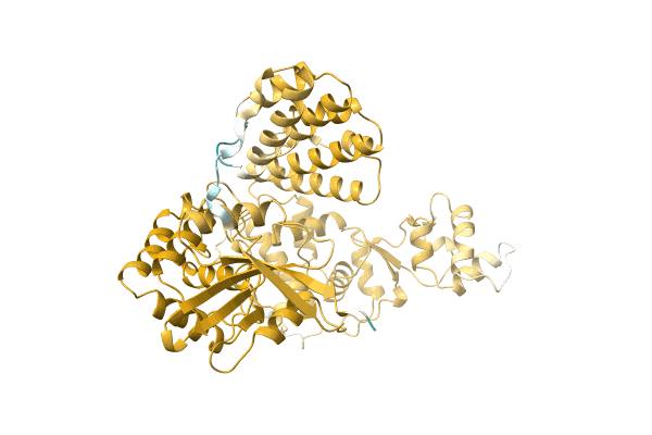 AF-A0A1H2EVA2-F1 image