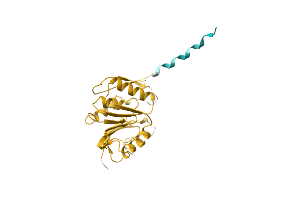 AF-A0A1H2EVC6-F1 image