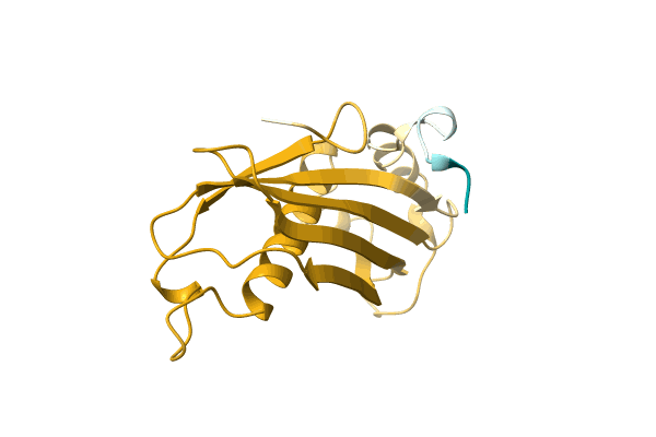 AF-A0A1H2EVF8-F1 image