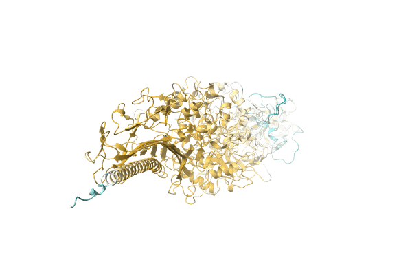 AF-A0A1H2EVM4-F1 image