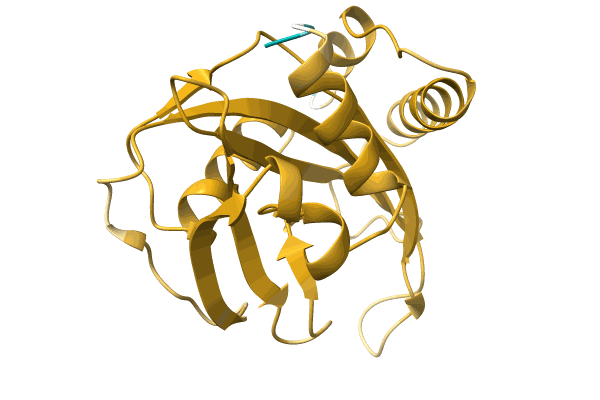 AF-A0A1H6TBY2-F1 image