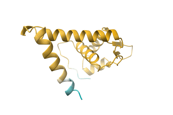 AF-A0A1H6TP59-F1 image