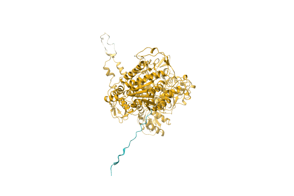 AF-A0A1H6TSE8-F1 image