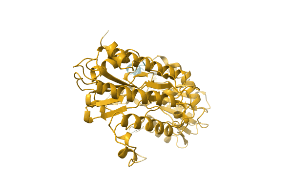 AF-A0A1H6TSY0-F1 image