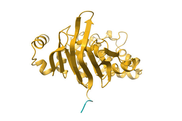 AF-A0A1H6U7H9-F1 image