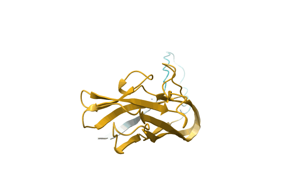 AF-A0A1H6U7N0-F1 image