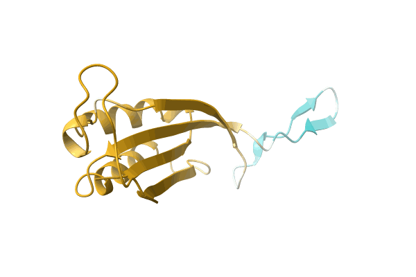 AF-A0A1H6UWB6-F1 image