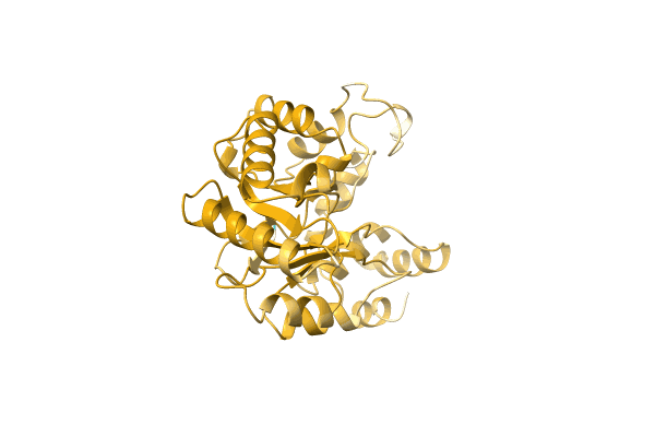 AF-A0A1H6VN03-F1 image