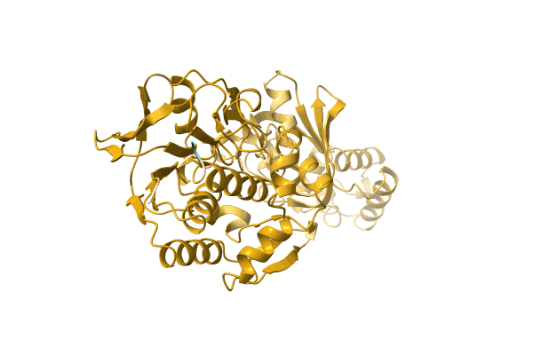 AF-A0A1H6VTQ5-F1 image