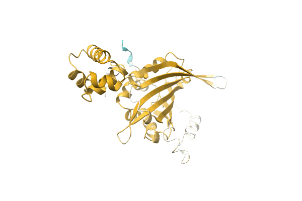 AF-A0A1H6VU44-F1 image