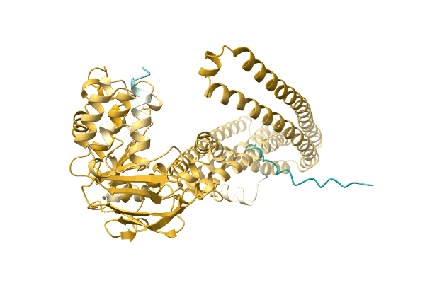 AF-A0A1H6WEZ9-F1 image