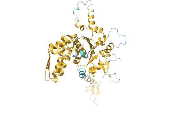 AF-A0A1H6X779-F1 image