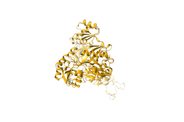 AF-A0A1H6X7R8-F1 image