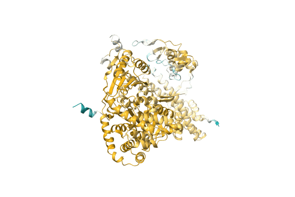 AF-A0A1H6XC45-F1 image