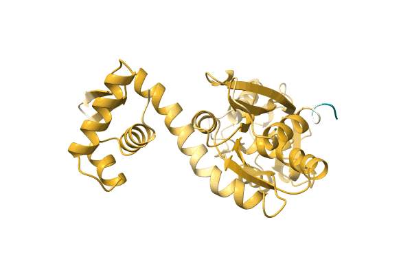 AF-A0A1H6XEN4-F1 image