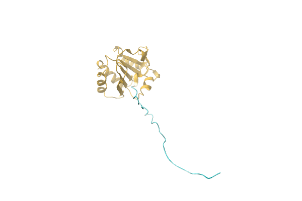 AF-A0A1H6XQ39-F1 image