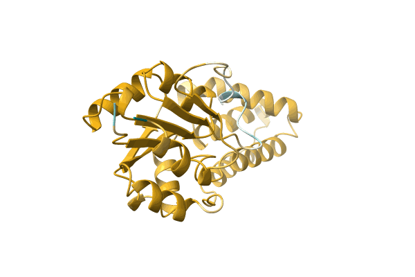 AF-A0A1H6XQX2-F1 image